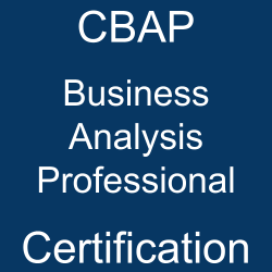 IIBA Business Analysis Professional Exam Questions, IIBA Business Analysis Professional Question Bank, IIBA Business Analysis Professional Questions, IIBA Business Analysis Professional Test Questions, IIBA Business Analysis Professional Study Guide, IIBA CBAP Quiz, IIBA CBAP Exam, CBAP, CBAP Question Bank, CBAP Certification, CBAP Questions, CBAP Body of Knowledge (BOK), CBAP Practice Test, CBAP Study Guide Material, CBAP Sample Exam, Business Analysis Professional, Business Analysis Professional Certification, Business Analysis, IIBA Certified Business Analysis Professional, Business Analysis Professional Simulator, Business Analysis Professional Mock Exam