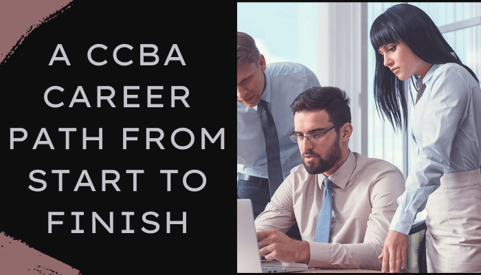 ccba exam questions, ccba exam, ccba exam questions free pdf, ccba question bank, ccba passing score, ccba exam passing score, ccba sample questions, ccba, ccba certification