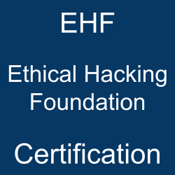 EXIN Certification, EXIN Ethical Hacking Foundation, EHF Online Test, EHF Questions, EHF Quiz, EHF, EXIN EHF Certification, EHF Practice Test, EHF Study Guide, EXIN EHF Question Bank, EHF Certification Mock Test, Ethical Hacking Foundation Simulator, Ethical Hacking Foundation Mock Exam, EXIN Ethical Hacking Foundation Questions, Ethical Hacking Foundation, EXIN Ethical Hacking Foundation Practice Test