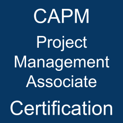 Project Management, PMI Project Management Associate Exam Questions, PMI Project Management Associate Question Bank, PMI Project Management Associate Questions, PMI Project Management Associate Test Questions, PMI Project Management Associate Study Guide, PMI CAPM Quiz, PMI CAPM Exam, CAPM, CAPM Question Bank, CAPM Certification, CAPM Questions, CAPM Body of Knowledge (BOK), CAPM Practice Test, CAPM Study Guide Material, CAPM Sample Exam, Project Management Associate, Project Management Associate Certification, PMI Certified Associate in Project Management, Project Management Associate Simulator, Project Management Associate Mock Exam