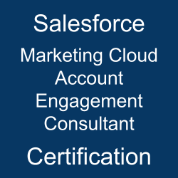 Salesforce Marketer Certification, Marketing Cloud Account Engagement Consultant, Marketing Cloud Account Engagement Consultant Mock Test, Marketing Cloud Account Engagement Consultant Practice Exam, Marketing Cloud Account Engagement Consultant Prep Guide, Marketing Cloud Account Engagement Consultant Questions, Marketing Cloud Account Engagement Consultant Simulation Questions, Salesforce Certified Marketing Cloud Account Engagement Consultant Questions and Answers, Marketing Cloud Account Engagement Consultant Online Test, Salesforce Marketing Cloud Account Engagement Consultant Study Guide, Salesforce Marketing Cloud Account Engagement Consultant Exam Questions, Salesforce Marketing Cloud Account Engagement Consultant Cert Guide, Marketing Cloud Account Engagement Consultant Certification Mock Test, Marketing Cloud Account Engagement Consultant Simulator, Marketing Cloud Account Engagement Consultant Mock Exam, Salesforce Marketing Cloud Account Engagement Consultant Questions