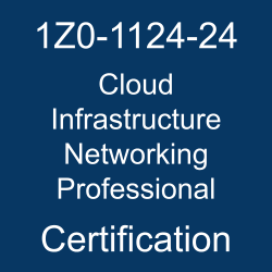The most useful 1Z0-1124-24 PDF, sample questions, & practice test to ace the Oracle Cloud Infrastructure 2024 Networking Professional exam.