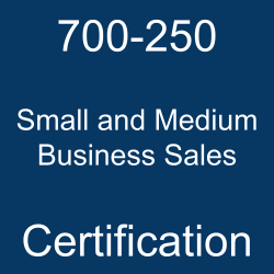 700-250 Small and Medium Business Sales certification