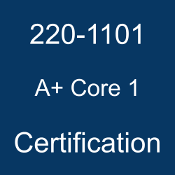 The CompTIA A+ 220-1101 certification.