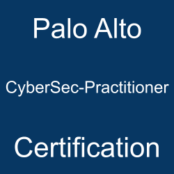 Palo Alto CyberSec-Practitioner certification