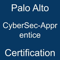 Palo Alto CyberSec-Apprentice certification
