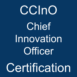Image with text 'GInI Chief Innovation Officer Certification' on a blue background.