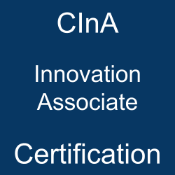 GInI CInA certification