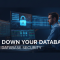 Database administrator securing an Oracle database while preparing for the 1Z0-116 exam