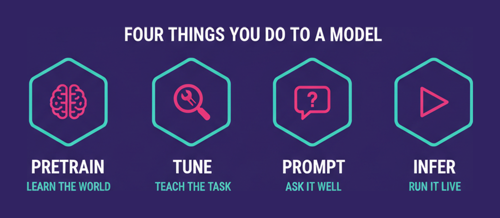 The four things done to a model in the HCIA-AI foundation models domain: pretrain, tune, prompt and infer