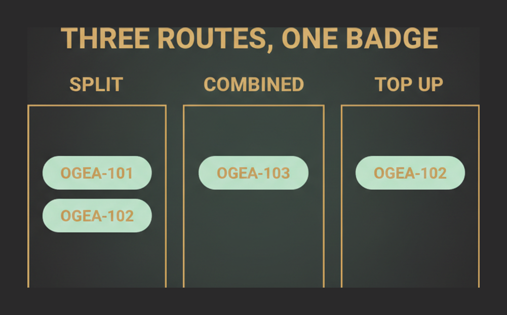 Three exam routes to the TOGAF Enterprise Architecture Practitioner credential: OGEA-101 with OGEA-102, OGEA-103 alone, or OGEA-102 alone